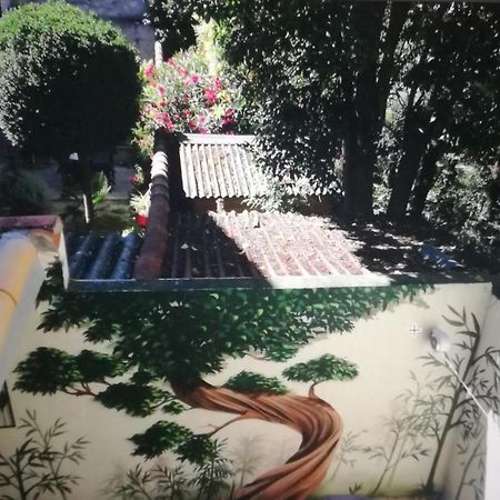Suite Oisivete Avec Terrasse Vue Sur Patio Et Clim Montpellier Eksteriør bilde
